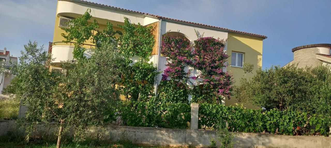 Apartmani Vranjkovic Vodice Dış mekan fotoğraf